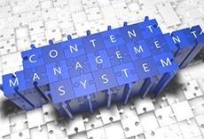 多言語対応CMS+ECシステム